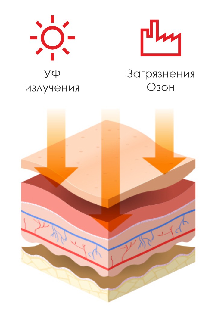 воздействие на кожу
